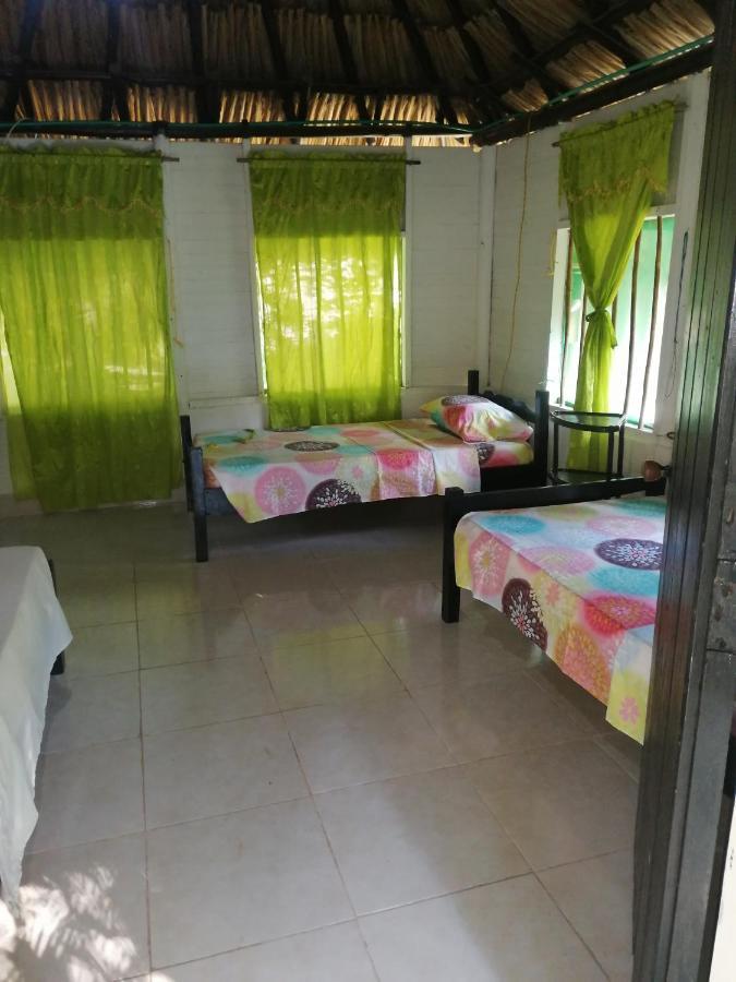 Eco Hostal Los Cocos Isla Grande  Exteriér fotografie