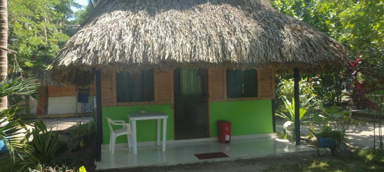 Eco Hostal Los Cocos Isla Grande  Exteriér fotografie