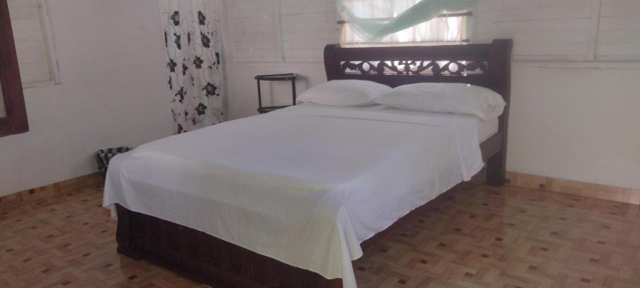 Eco Hostal Los Cocos Isla Grande  Exteriér fotografie