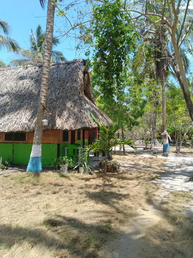 Eco Hostal Los Cocos Isla Grande  Exteriér fotografie
