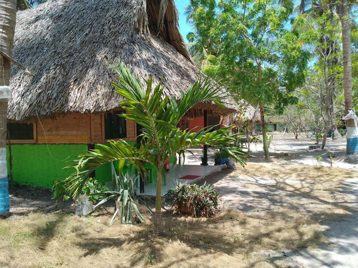 Eco Hostal Los Cocos Isla Grande  Exteriér fotografie