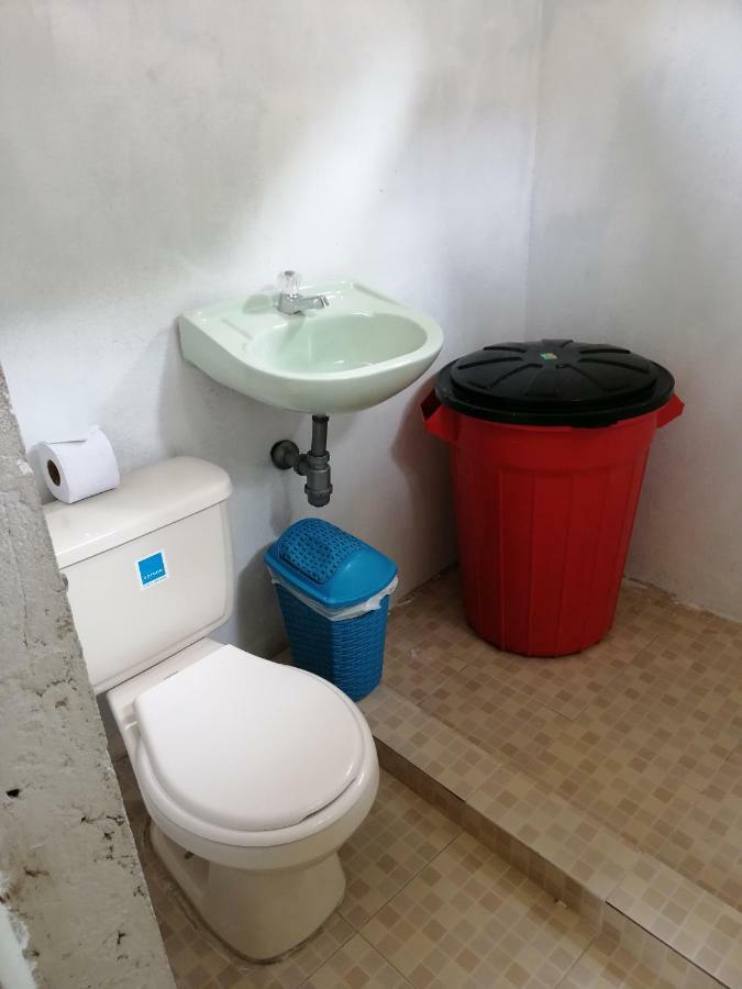 Eco Hostal Los Cocos Isla Grande  Exteriér fotografie