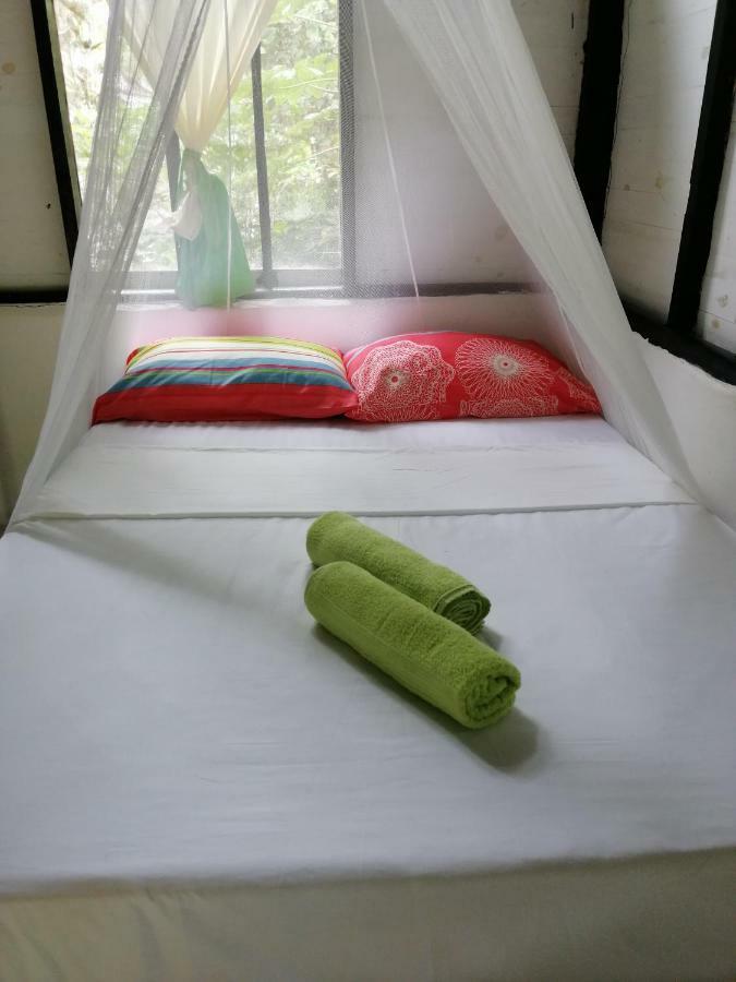 Eco Hostal Los Cocos Isla Grande  Exteriér fotografie