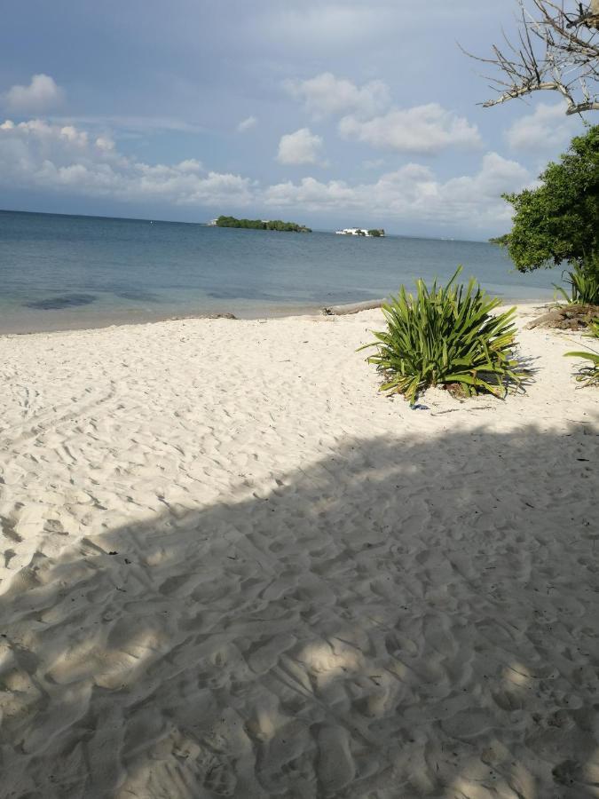 Eco Hostal Los Cocos Isla Grande  Exteriér fotografie