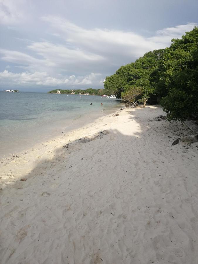 Eco Hostal Los Cocos Isla Grande  Exteriér fotografie