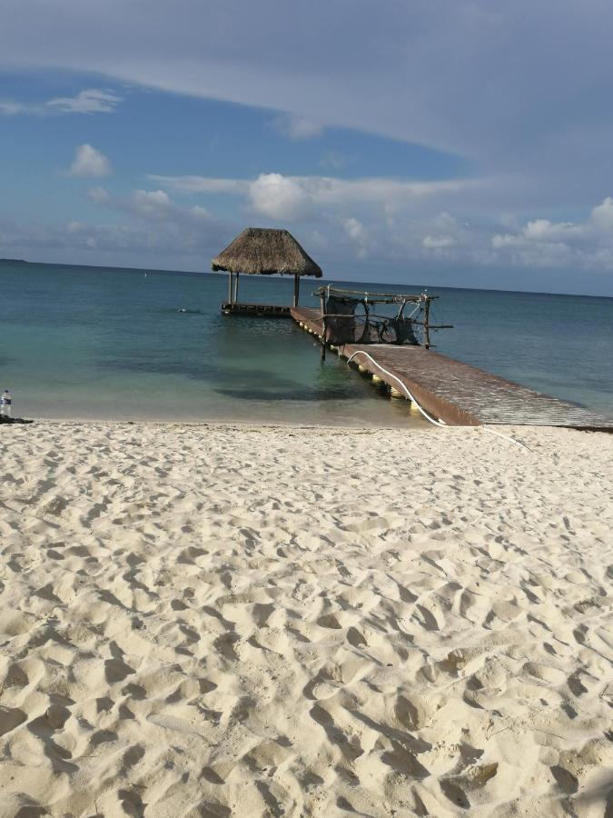 Eco Hostal Los Cocos Isla Grande  Exteriér fotografie